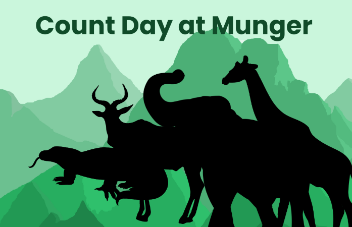 Silhouette of zoo animals with green mountains in the background and the title Count Day at Munger